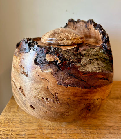 Rustic Maple Burl Individual Size Urn With Screw On Lid