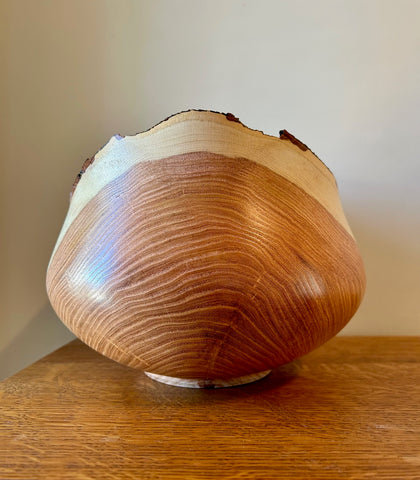 Honey Locust Bark Edge Individual Size Urn With Screw On Lid