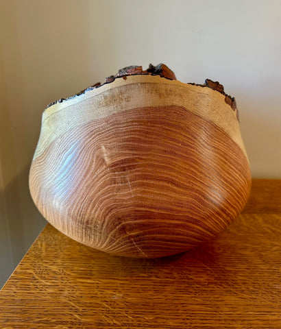 Honey Locust Bark Edge Individual Size Urn With Screw On Lid