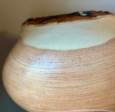 Honey Locust Bark Edge Individual Size Urn With Screw On Lid